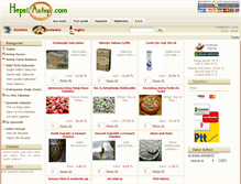 Tablet Screenshot of hepsiantep.com